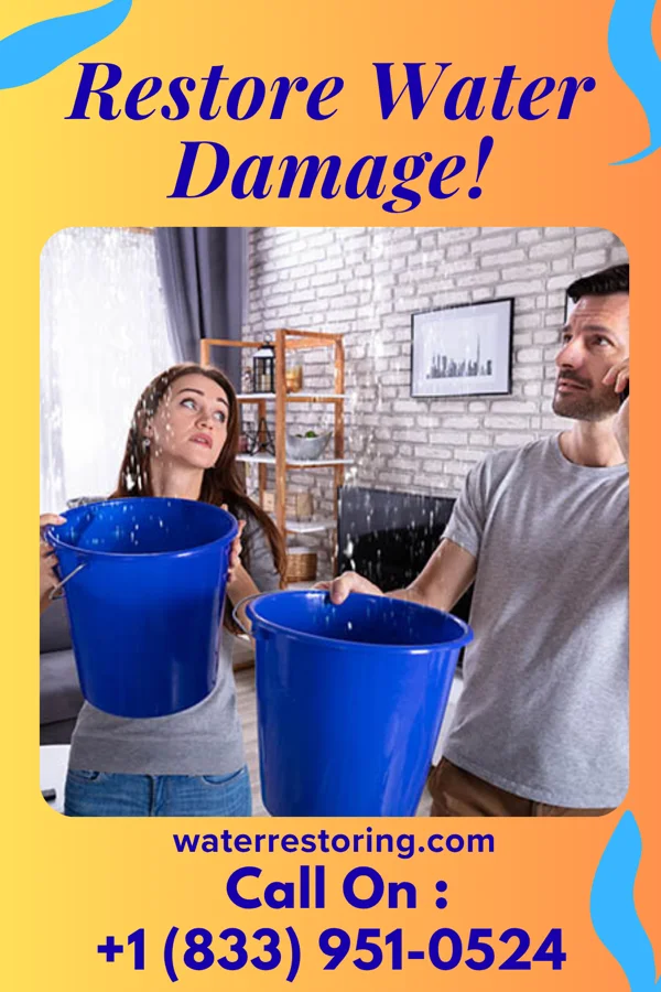 water restoration Prestige Water Cleanup Contractors Smiths Grove