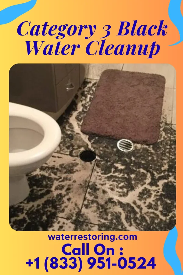 Category 3 Black Water Cleanup in Smiths Grove, KY