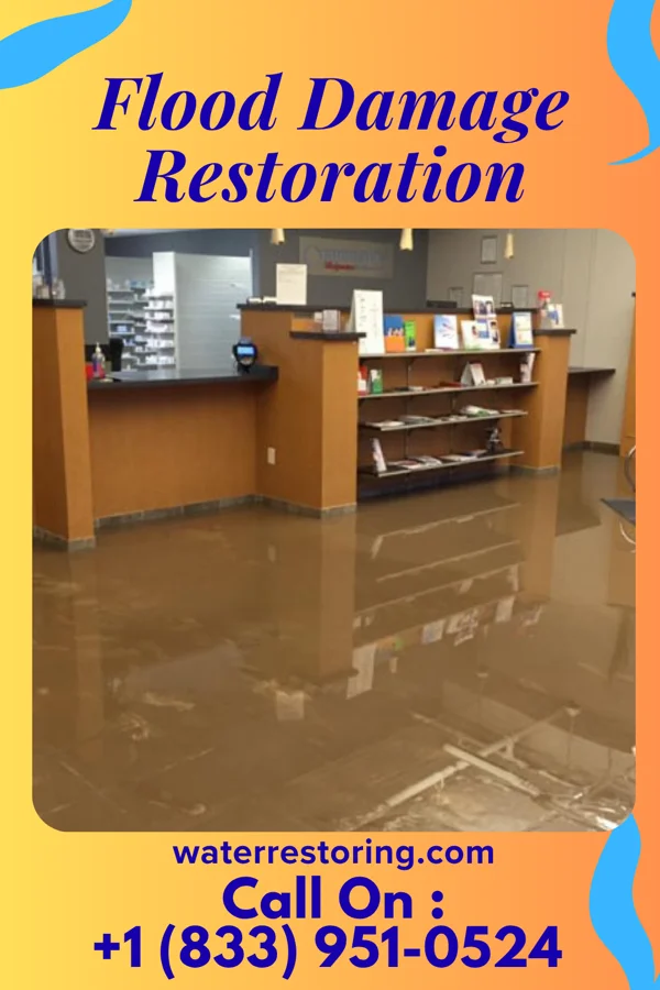 Flood Damage Restoration in Smiths Grove, KY
