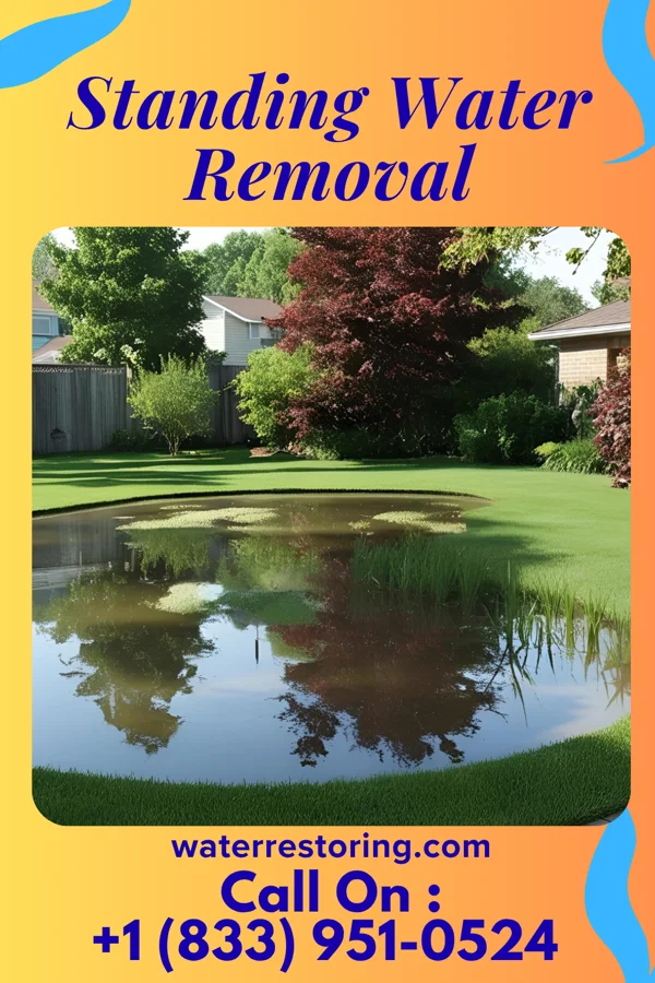 Standing Water Removal in Smiths Grove, KY